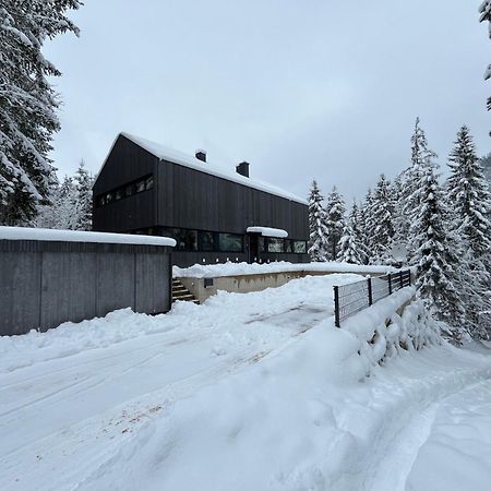 Chalet Dachstein 拉姆绍达赫斯坦 外观 照片