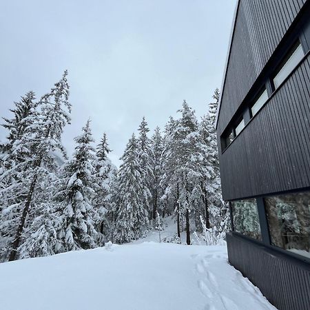 Chalet Dachstein 拉姆绍达赫斯坦 外观 照片