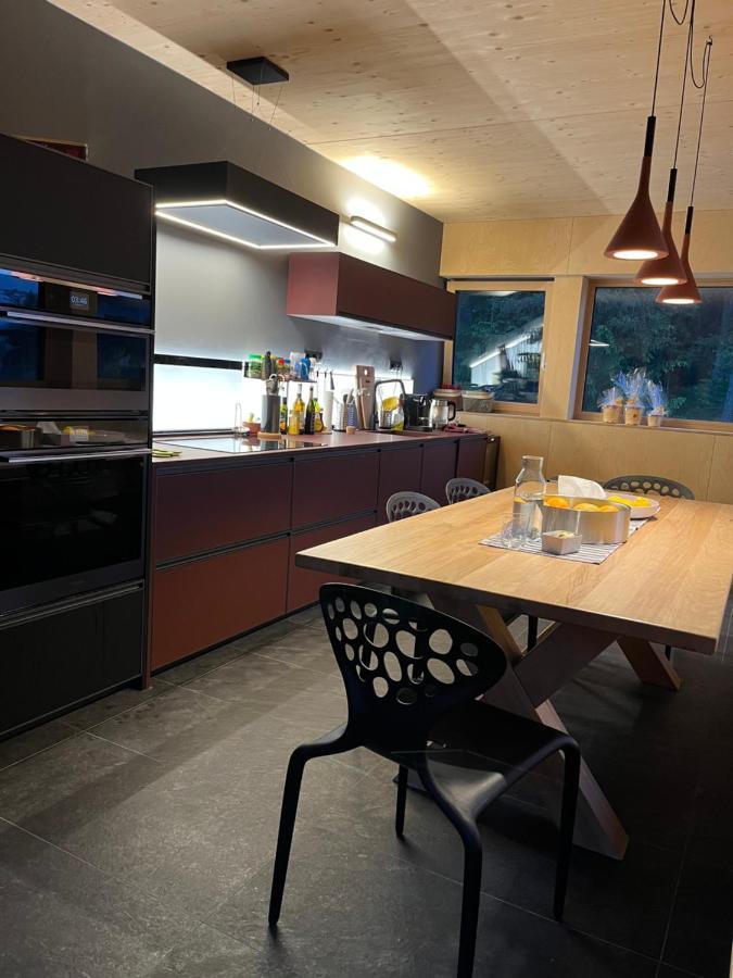 Chalet Dachstein 拉姆绍达赫斯坦 外观 照片