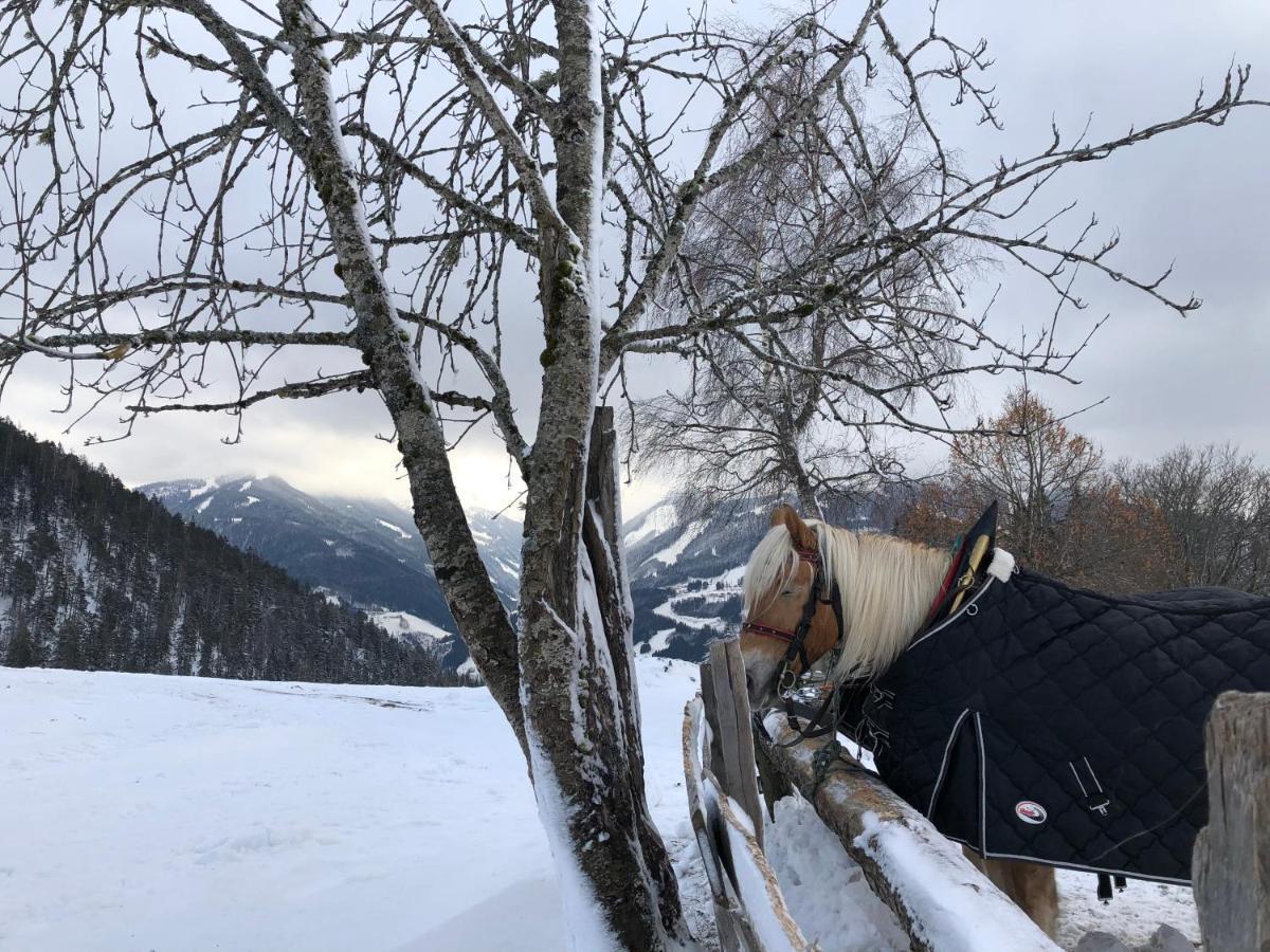 Chalet Dachstein 拉姆绍达赫斯坦 外观 照片