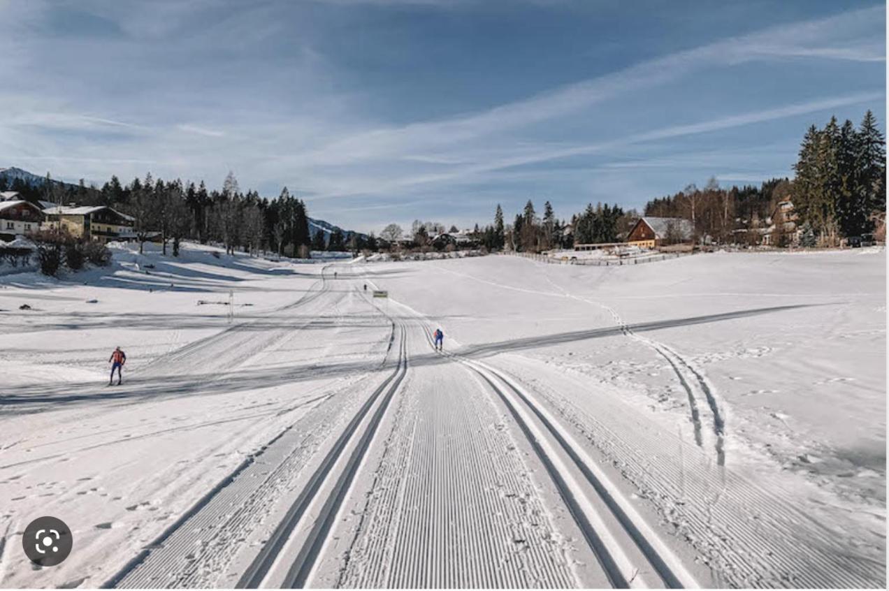 Chalet Dachstein 拉姆绍达赫斯坦 外观 照片
