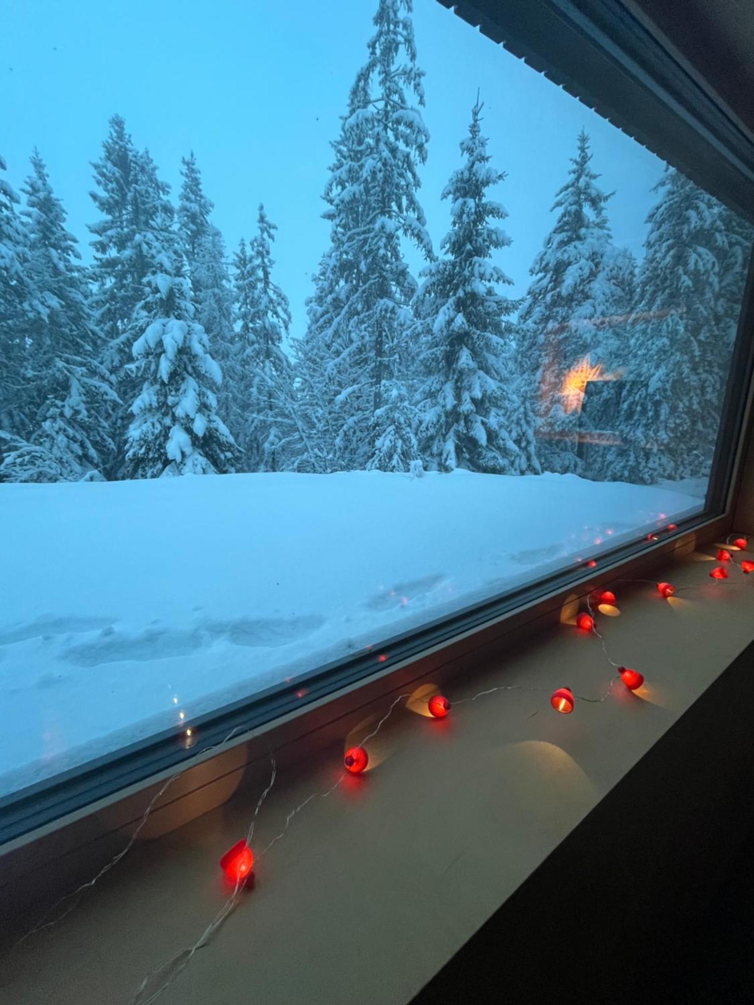 Chalet Dachstein 拉姆绍达赫斯坦 外观 照片
