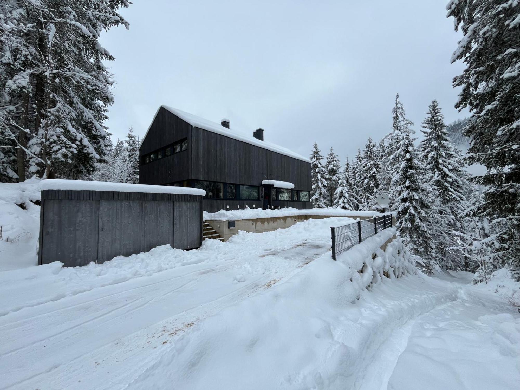 Chalet Dachstein 拉姆绍达赫斯坦 外观 照片