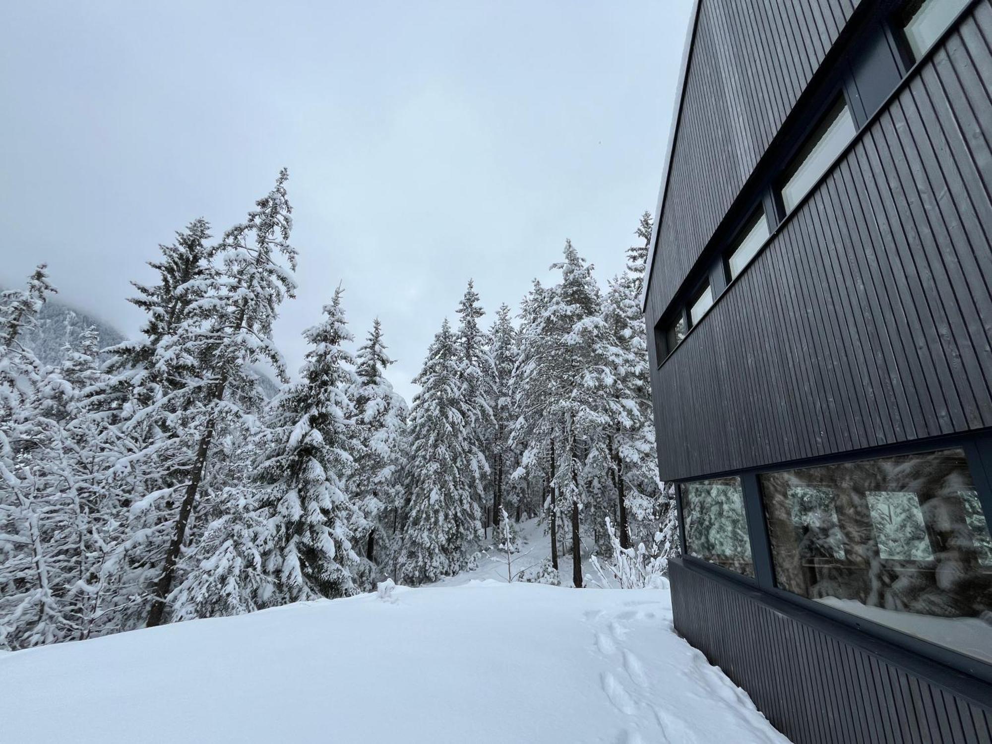 Chalet Dachstein 拉姆绍达赫斯坦 外观 照片